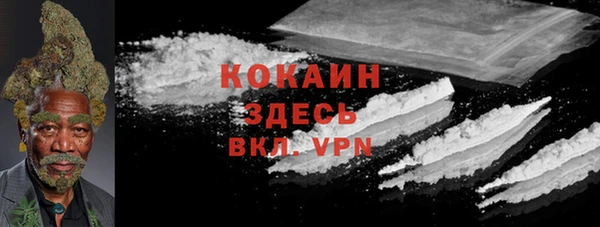 a pvp Магас