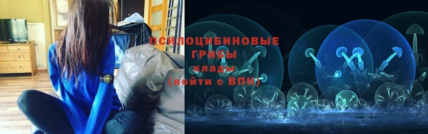 mdpv Магадан