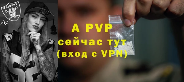 a pvp Магас