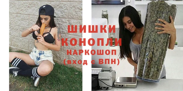 a pvp Магас