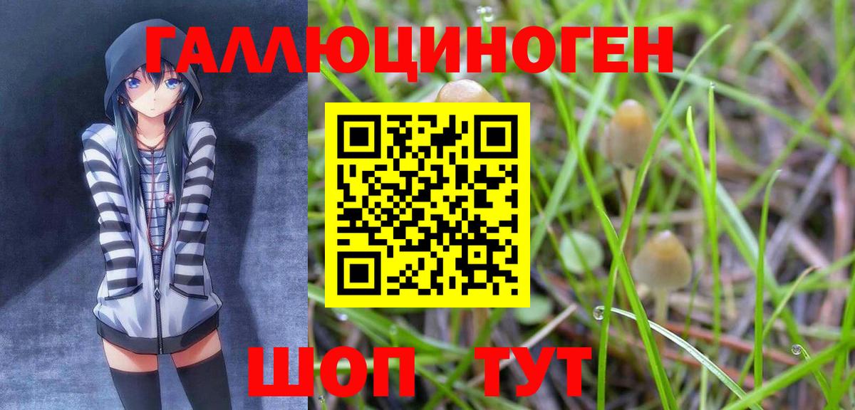 Псилоцибиновые грибы мухоморы Губкинский