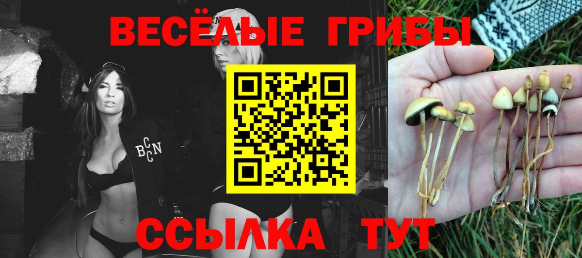 Псилоцибиновые грибы MAGIC MUSHROOMS  Губкинский 