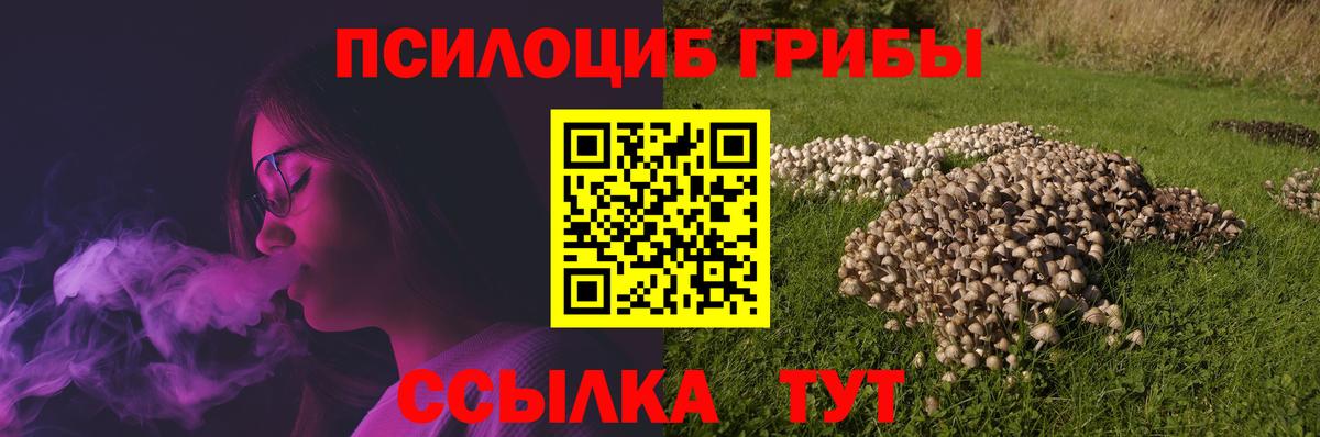 Губкинский  Галлюциногенные грибы ЛСД  Вход с VPN 