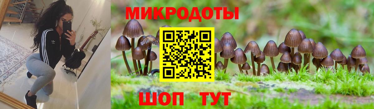 Псилоцибиновые грибы MAGIC MUSHROOMS Губкинский